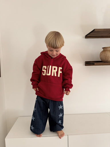 Hoodie – WaveRider Unisex, Grön/Röd/Grå, Bomull, Storlek 0–6 år