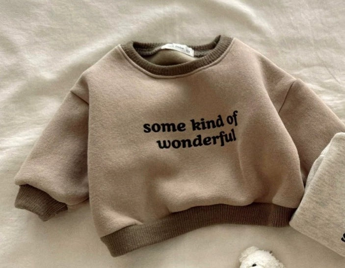 Tröja – WonderWear Unisex, Brun/Grå, Bomull, Storlek 0–5 år